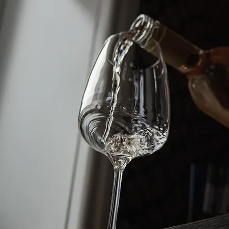 De Koppelpaarden Otel