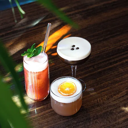 De Koppelpaarden فندق