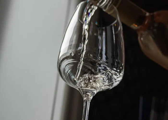 De Koppelpaarden 호텔